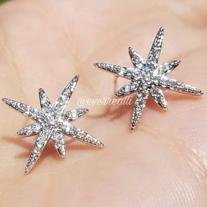 Silver Diamond Star Stud Earrings ear ring